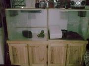 Large tanks for snakes / lizards x2 and stand