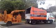 bset tree removal melbourne