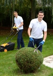 Gardening and landscaping services