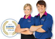 Cheap Carpet Cleaning Melbourne Kew