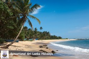 Sri Lanka Holidays Special