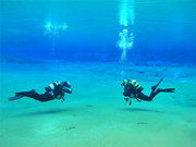 Get the best diving expirence from divekomodo flores