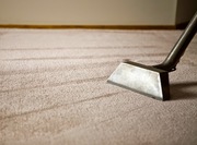 Cost Effective Carpet Cleaning Services in Cheltenham