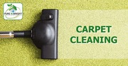 Carpet Cleaning Specialist in Melbourne -  Pure N Bright Cleaning.