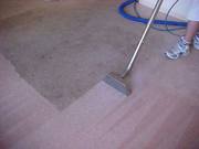 Professional Carpet Cleaning  in Melbourne – Pure n Bright Cleaning