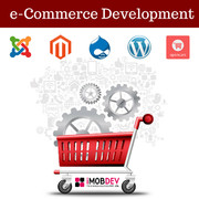 Ecommerce website Development Company- Worthy to Your Online Existence