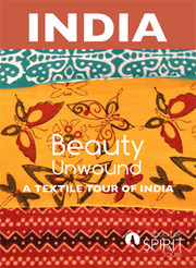 Book Cultural tour package to India