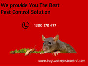 Quick,  Effective & Advanced Pest Control Service at Cheapest Rate