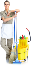 Reliable Carpet Cleaning Services in Lynbrook