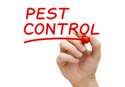 Pest Control Services in Yarrawonga - Economic Pest Control