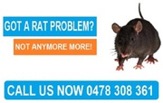 Cheap  Pest Control  Company  in Melbourne 