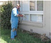 Pest Control Warrandyte