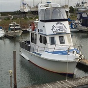 Ideal Fishing Charters Melbourne - Reel Adventure Fishing Charters