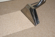 Cheap Carpet Cleaning Melbourne with Proficient Carpet Cleaners