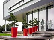 Indoor Plants Hire In Melbourne 