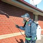 Complete Pest Control Services in Melbourne - pestmatic.com.au