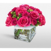 Find Popular Florist in Toorak