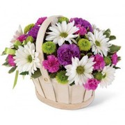 Are you Searching for fresh flowers in Malvern?