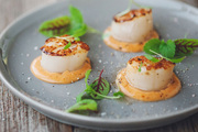 Seared Canadian Scallop Recipes