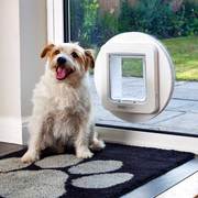 Pet Door Installation in Melbourne