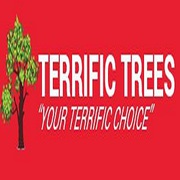 Terrific Trees