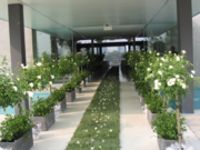 Get Cost Effective And Best Range Of Indoor Plants In Melbourne