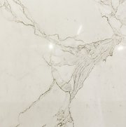 Your Reputed Supplier for Calacatta Marble