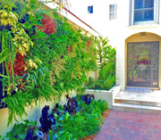 Artificial Vertical Gardens in Australia