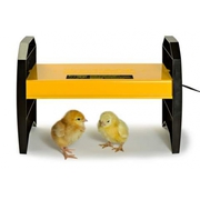 Top Quality Chicken Brooder Box - Top Knot Poultry Supplies