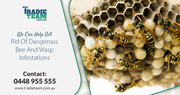 Looking For Effective Bees Removal Service in Melbourne?