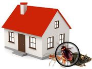 Building and Pest Inspection in Craigieburn