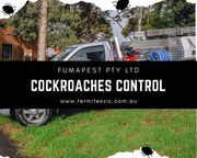 Cockroaches Control Greensborough | Cockroaches Control Ringwood