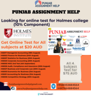 Holmes Online Test Help for $20 AUD