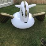 Inflatable Flying Horse | Best Pool Toy | Jenjo Games - Australia