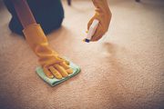 Professional Carpet Stain Removal Services in Melbourne 