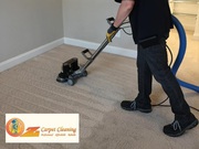What Kind of Cleaning is Best for Your Carpet? Steam Cleaning or Dry C