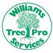Williams Tree Pro Services