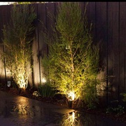 Searching for garden lighting installation in Melbourne?