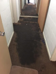 Wet and Flood Damage Restoration Glen Iris | Wet Carpet Cleaners