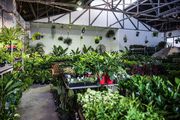 Melbourne – Springtime Splendour Plant Sale!