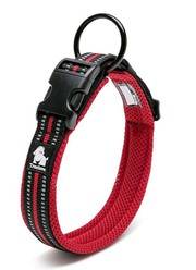 Smart Pet Care Products for Hassle-Free Routines